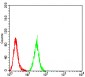 Mouse Monoclonal Antibody to MIB1